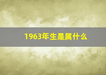 1963年生是属什么