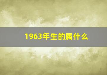 1963年生的属什么