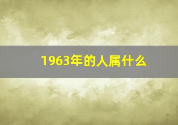 1963年的人属什么