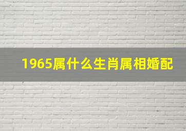 1965属什么生肖属相婚配