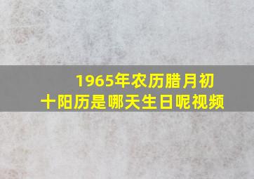 1965年农历腊月初十阳历是哪天生日呢视频