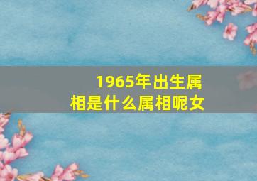 1965年出生属相是什么属相呢女