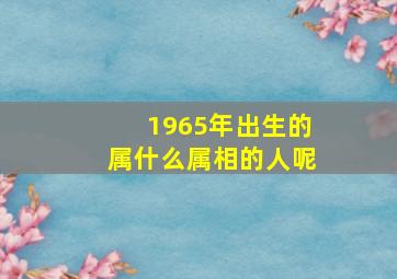 1965年出生的属什么属相的人呢