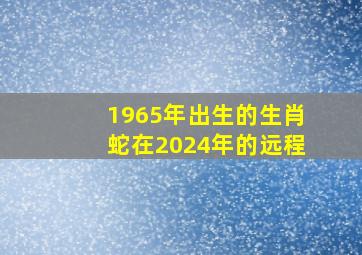 1965年出生的生肖蛇在2024年的远程