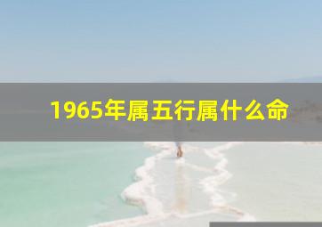 1965年属五行属什么命