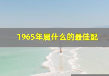 1965年属什么的最佳配