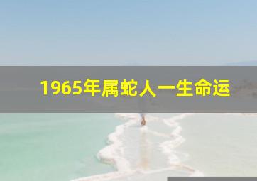 1965年属蛇人一生命运