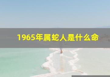 1965年属蛇人是什么命