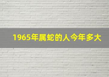 1965年属蛇的人今年多大