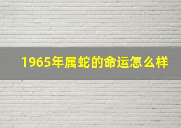 1965年属蛇的命运怎么样