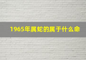 1965年属蛇的属于什么命