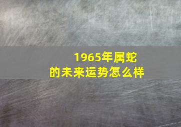 1965年属蛇的未来运势怎么样