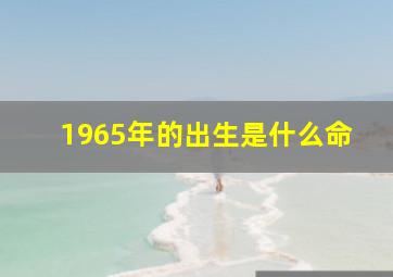 1965年的出生是什么命