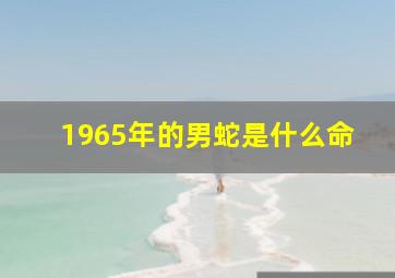 1965年的男蛇是什么命