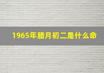 1965年腊月初二是什么命