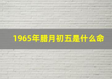 1965年腊月初五是什么命