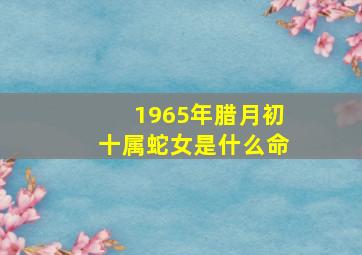 1965年腊月初十属蛇女是什么命