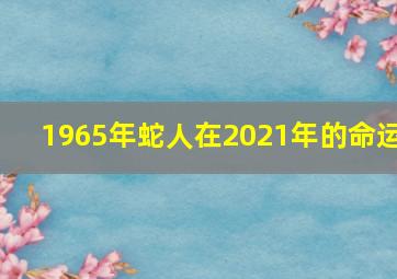 1965年蛇人在2021年的命运