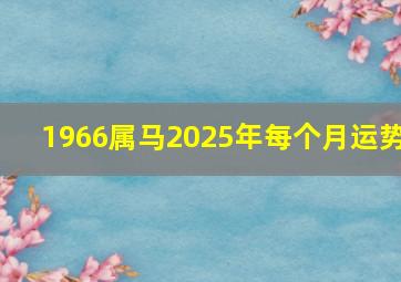 1966属马2025年每个月运势