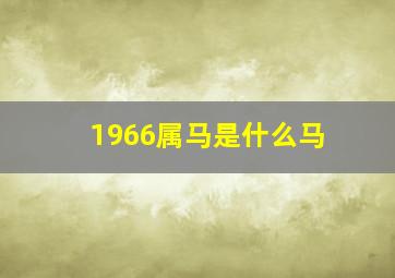 1966属马是什么马