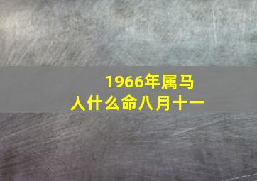 1966年属马人什么命八月十一