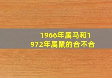 1966年属马和1972年属鼠的合不合