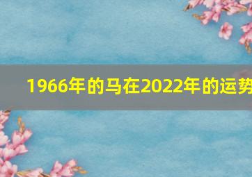 1966年的马在2022年的运势