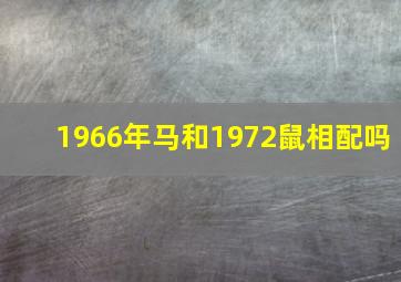 1966年马和1972鼠相配吗