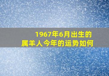 1967年6月出生的属羊人今年的运势如何