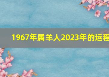 1967年属羊人2023年的运程