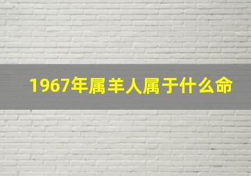 1967年属羊人属于什么命