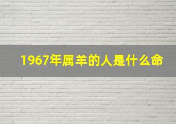 1967年属羊的人是什么命