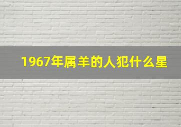 1967年属羊的人犯什么星