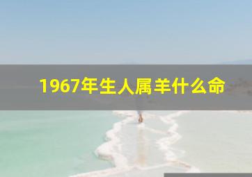 1967年生人属羊什么命