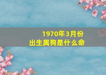 1970年3月份出生属狗是什么命