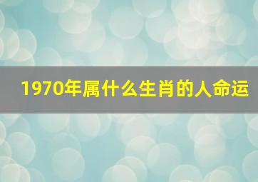 1970年属什么生肖的人命运