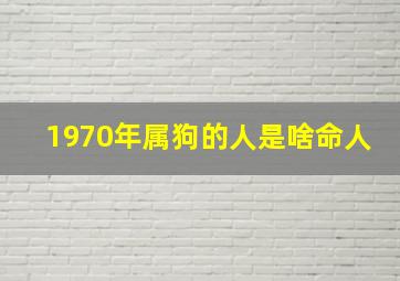 1970年属狗的人是啥命人