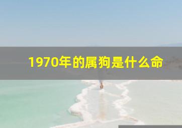 1970年的属狗是什么命