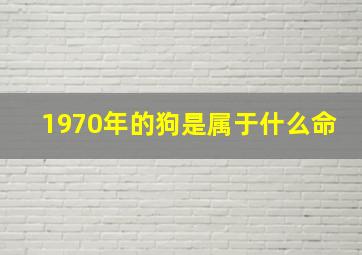 1970年的狗是属于什么命