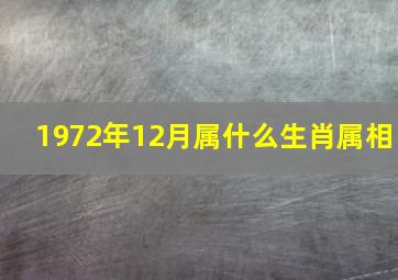 1972年12月属什么生肖属相