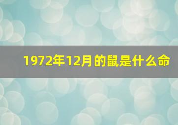 1972年12月的鼠是什么命