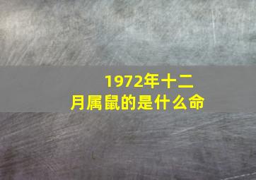 1972年十二月属鼠的是什么命