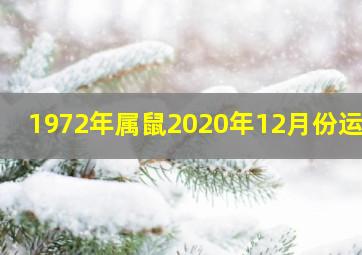 1972年属鼠2020年12月份运势