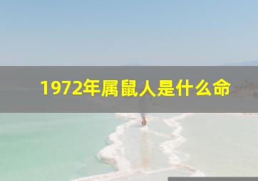 1972年属鼠人是什么命