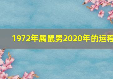 1972年属鼠男2020年的运程