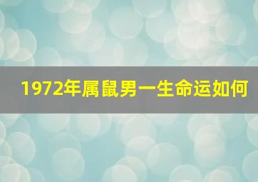 1972年属鼠男一生命运如何