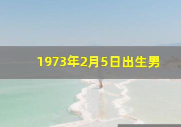 1973年2月5日出生男