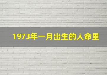 1973年一月出生的人命里