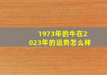 1973年的牛在2023年的运势怎么样