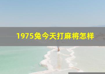 1975兔今天打麻将怎样